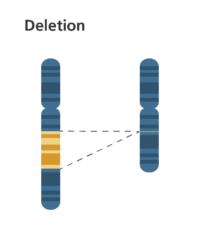 Concept of deletion in NLP
